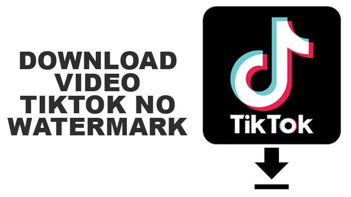 Baixar Vídeo TikTok – Salve Vídeos do TikTok em MP4 Sem Marca d’Água